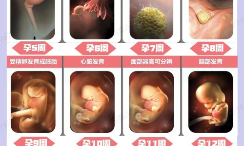 黄体酮对孕妇有伤害吗-吃黄体酮会不会加重孕反专区_黄体酮导致发胖能恢复吗专区_黄体酮对孕妇胖了咋办网